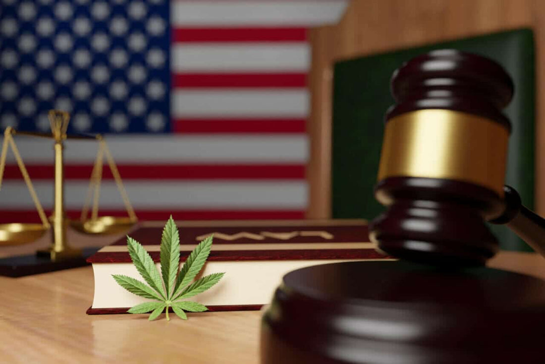 How the Farm Bill Amendment and DEA Letter will Benefit Cannabis Growers