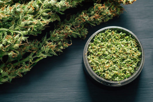 How Much Weed Does One Plant Yield?