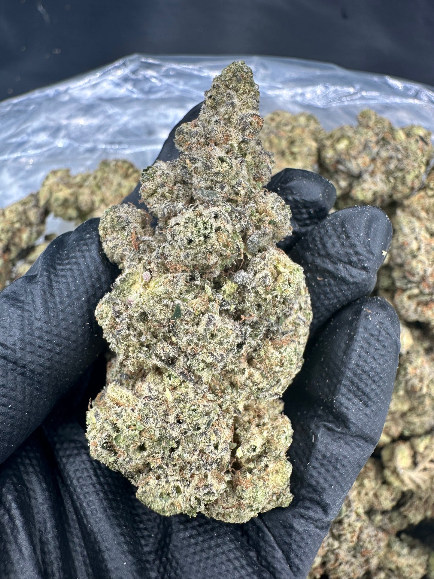 🎁 Bubba Kush THCA Flower (100% off)