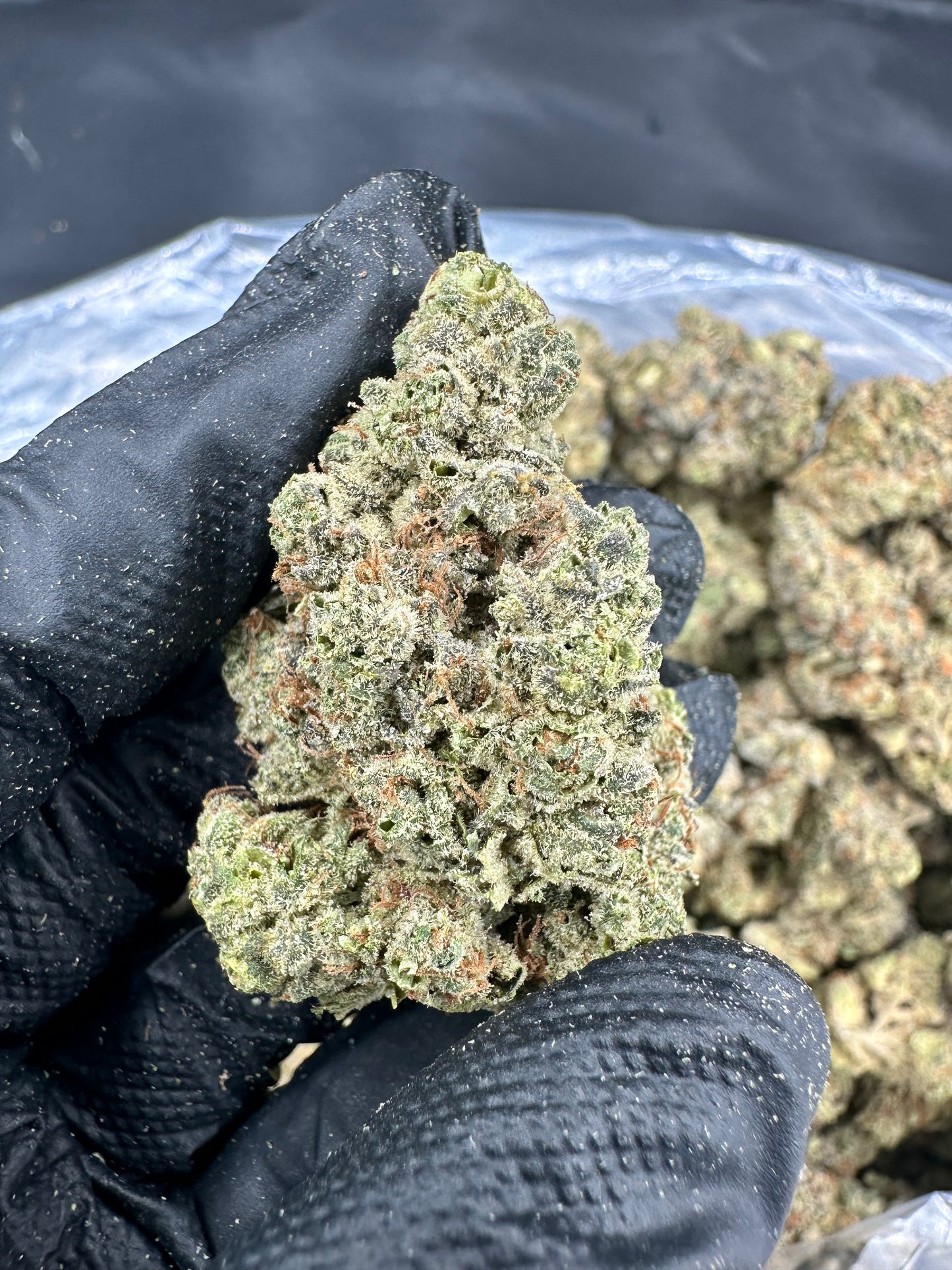 Gorilla Glue 4 THCA Flower