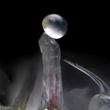 Granita Autoflower Cannabis