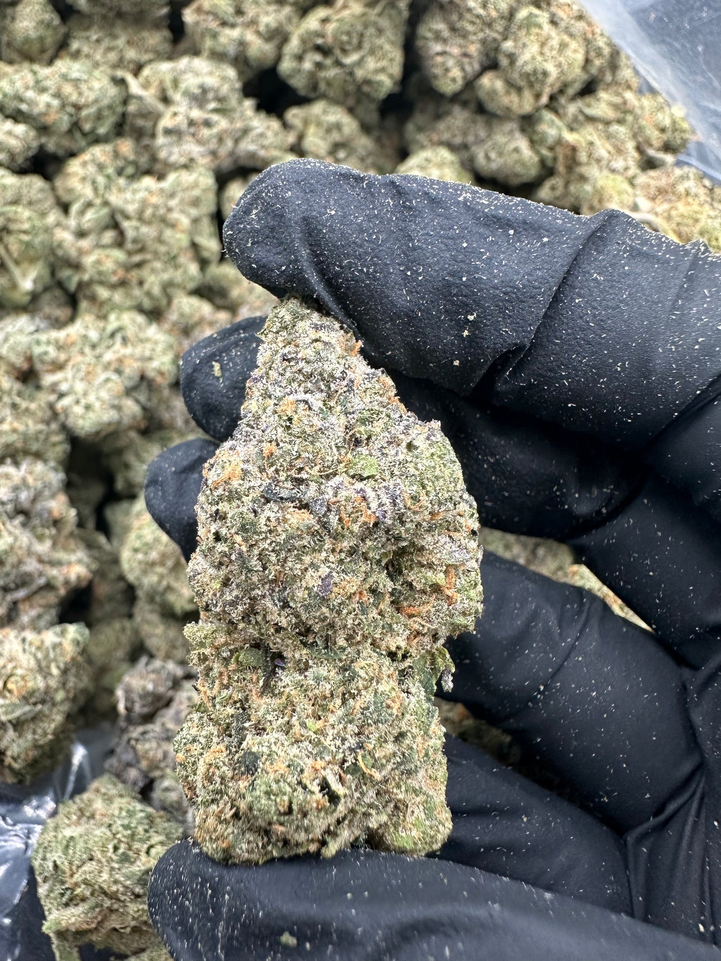 Zkittlez THCA Flower (Premium)