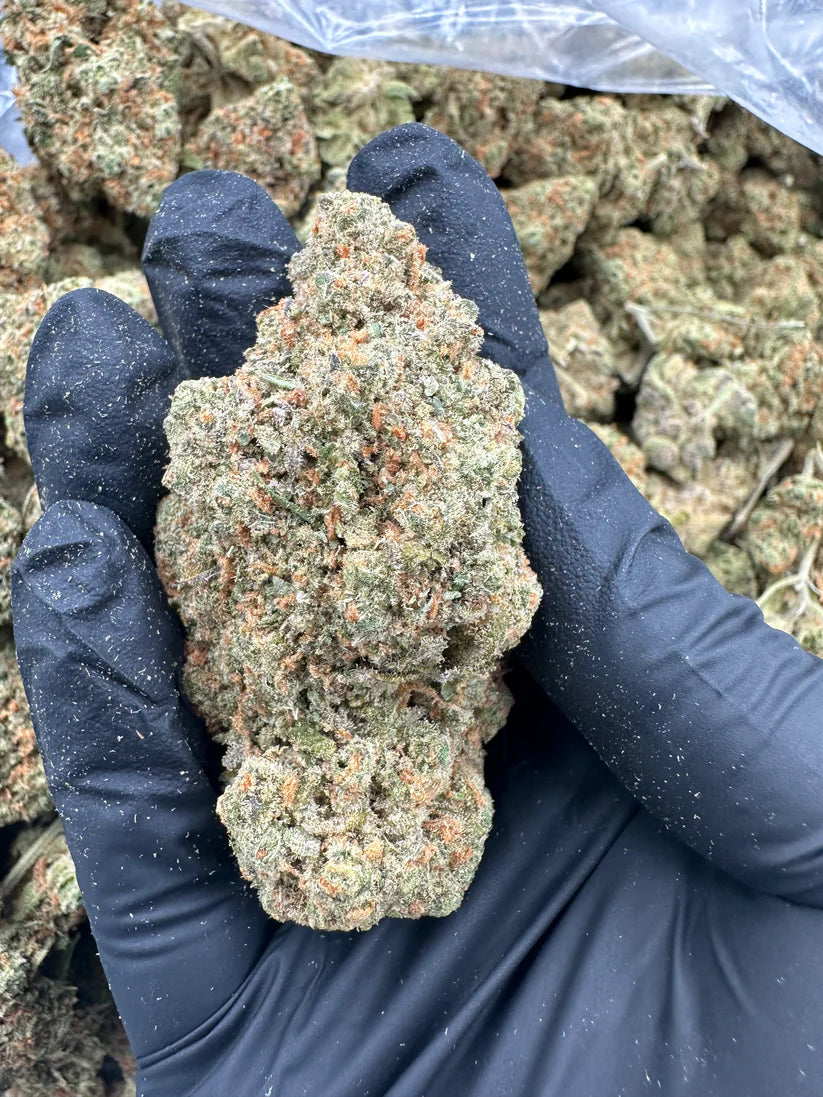 Exotic Bundle - 3 Half Ounces THCA Flower