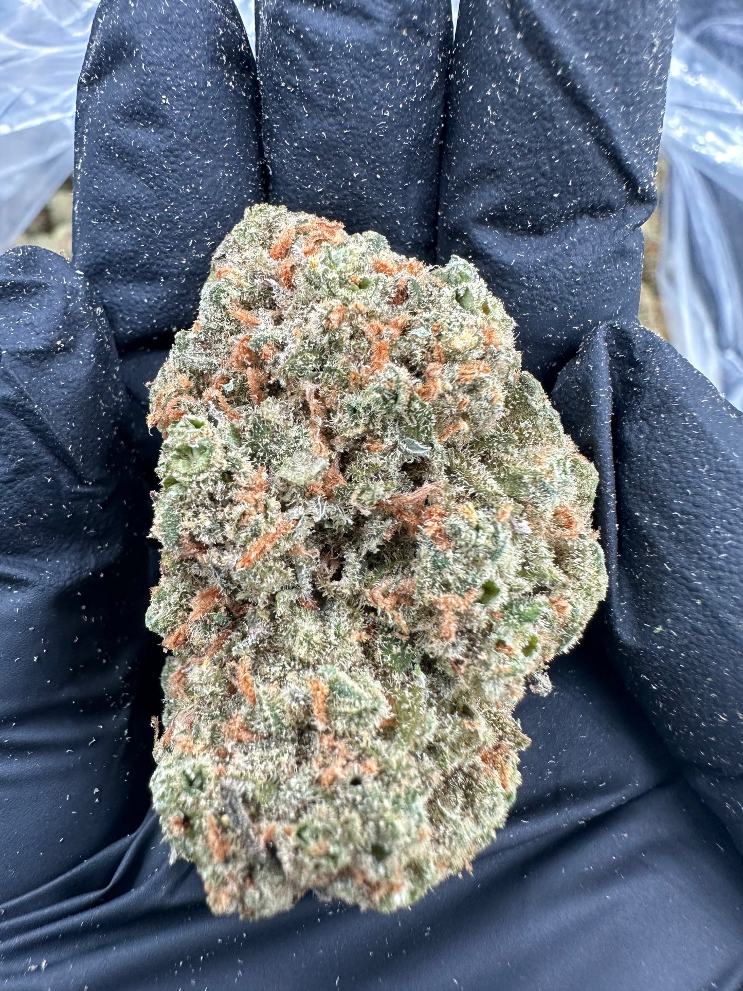 Green Crack THCA Flower (Exotic)