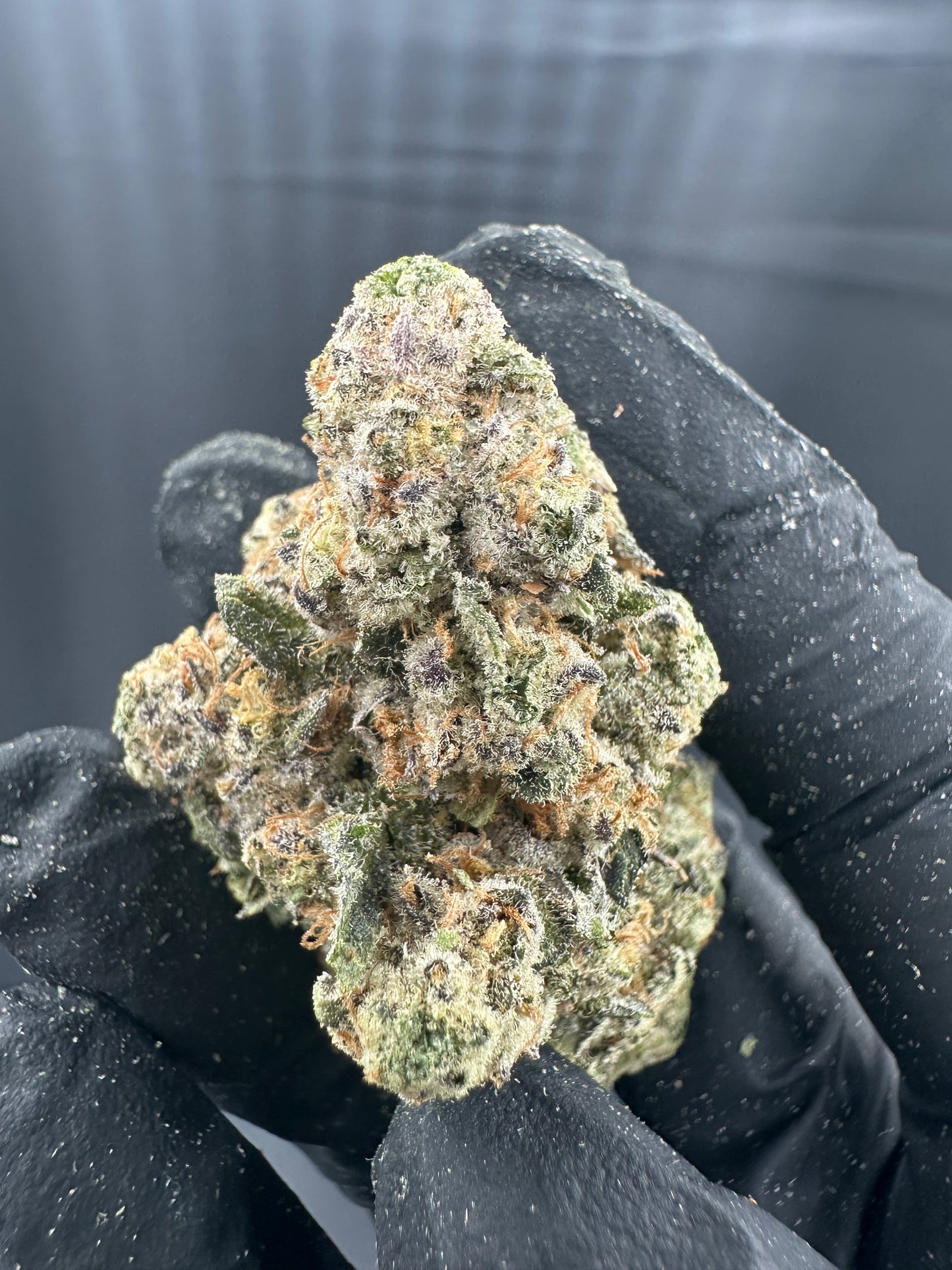 Cereal Milk THCA Flower (Premium)