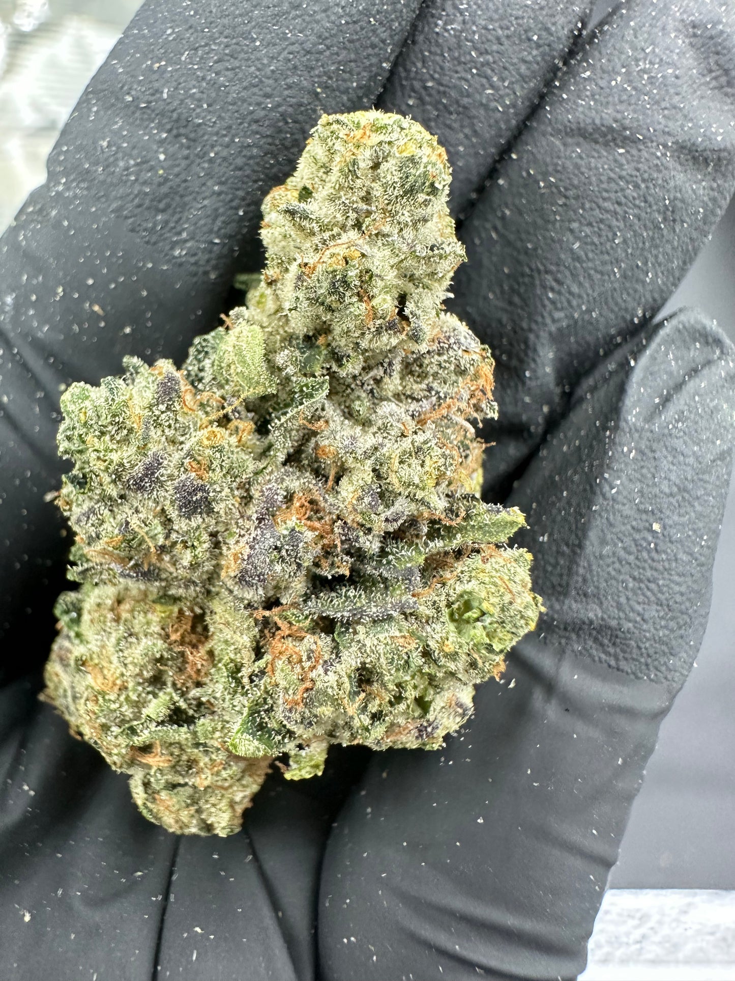 Triangle Kush Cake THCA Flower (Premium)