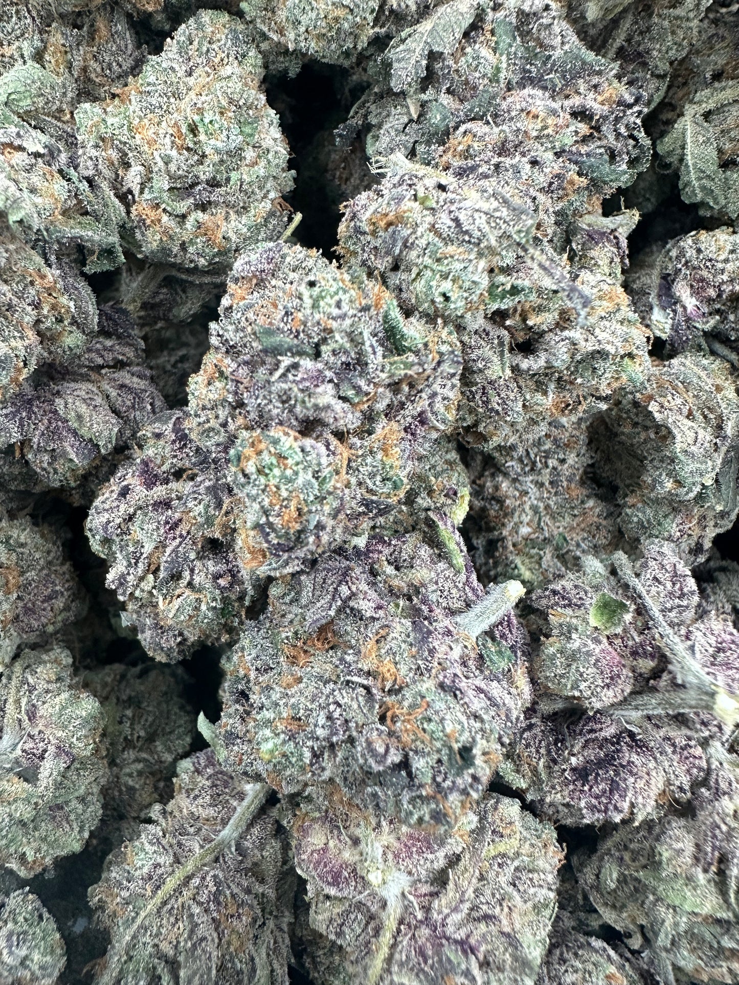 Watermelon Zkittlez THCA Flower (Exotic)