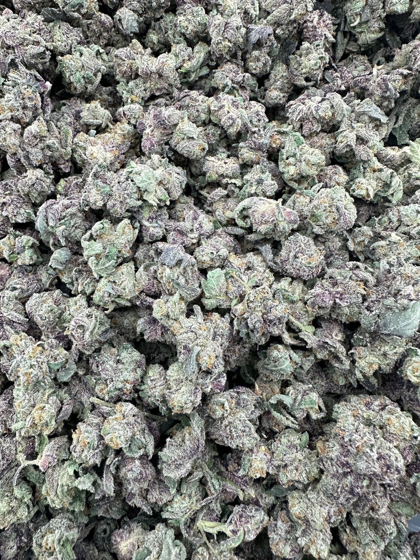 Gush Mintz THCA Flower (Budget)
