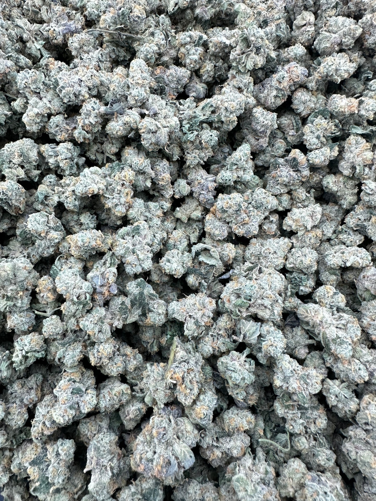 Georgia Pie THCA Flower (Budget)