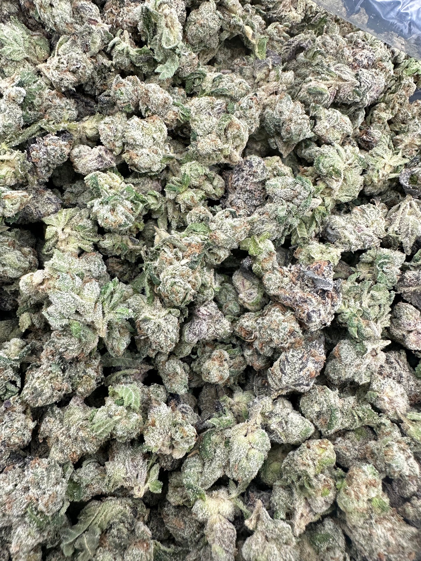 Blue Dream THCA Flower (Budget)