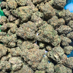 Lemon Cherry Gelato THCA Flower