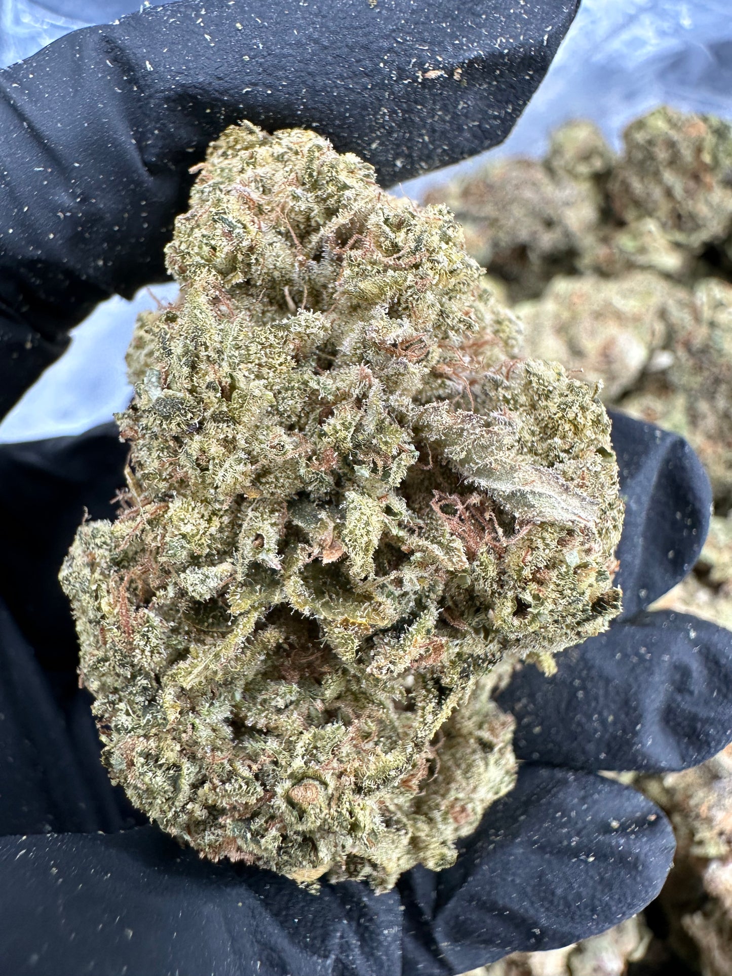 Godfather OG THCA Flower