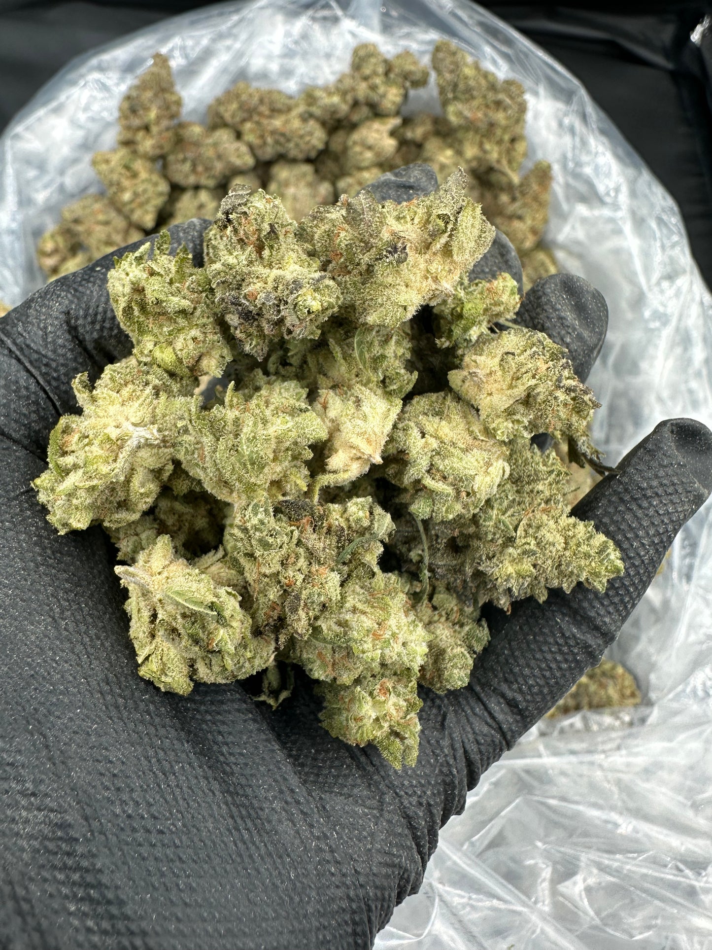 Lava Cake THCA Flower