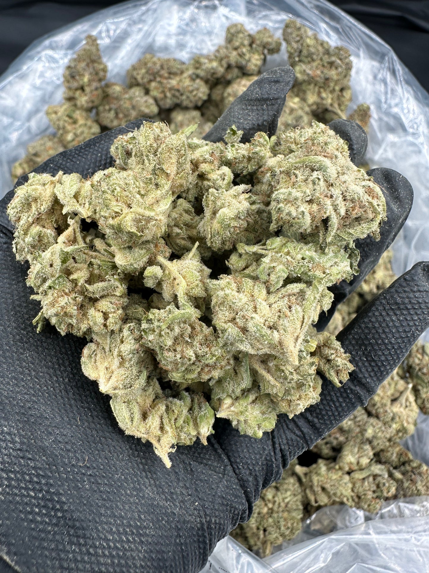 Lemon Haze THCA Flower