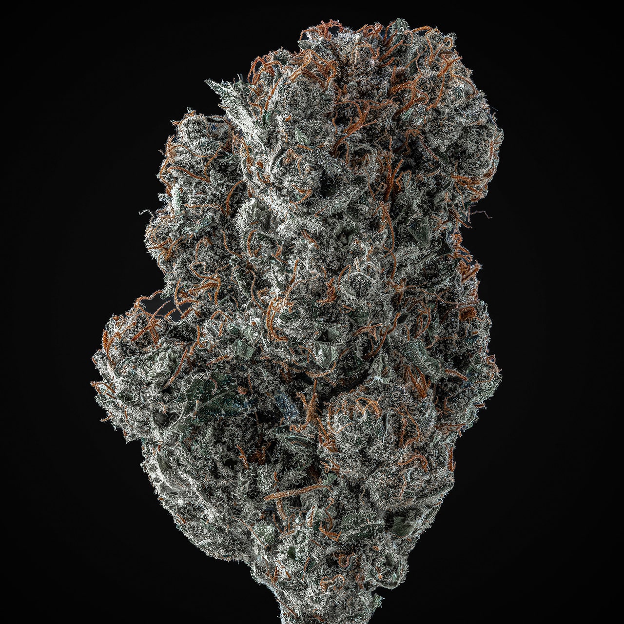 Peanut Butter Breath Seeds