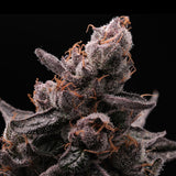 Purple Cookies Autoflower Seeds