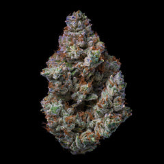 Forum Cookie THCA Flower