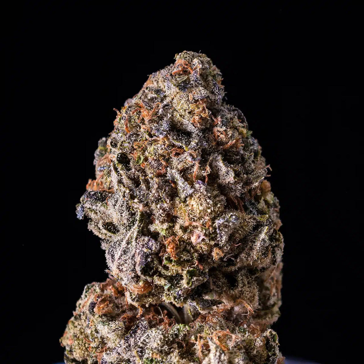 Ice Cream Cake Seeds - Premium Cultivars