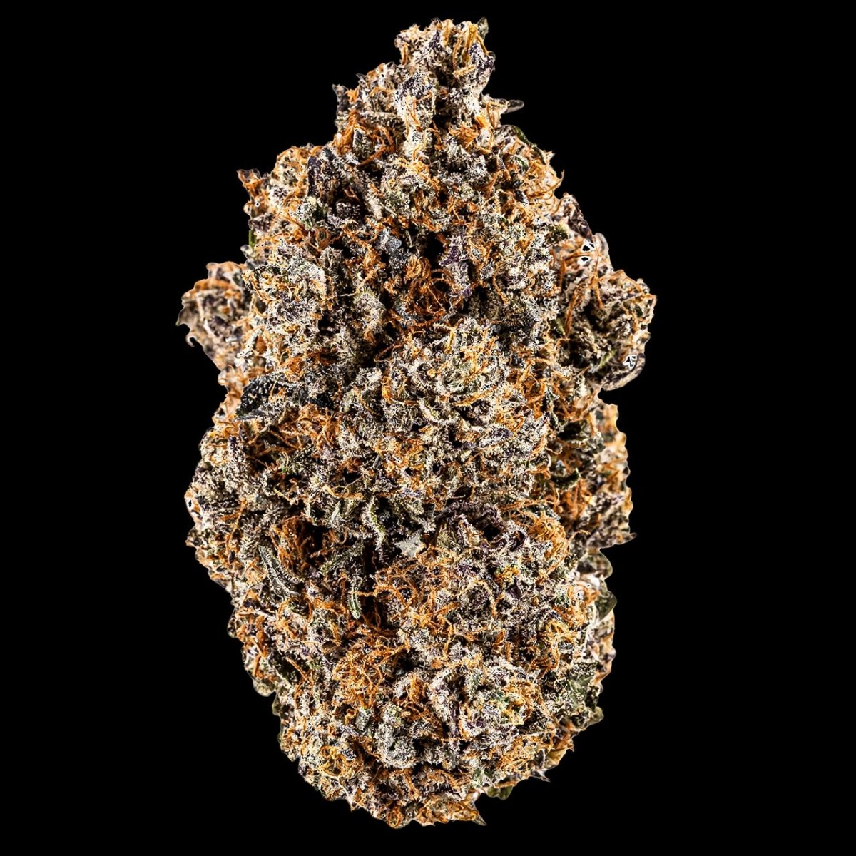 Pink Certz Seeds - Premium Cultivars