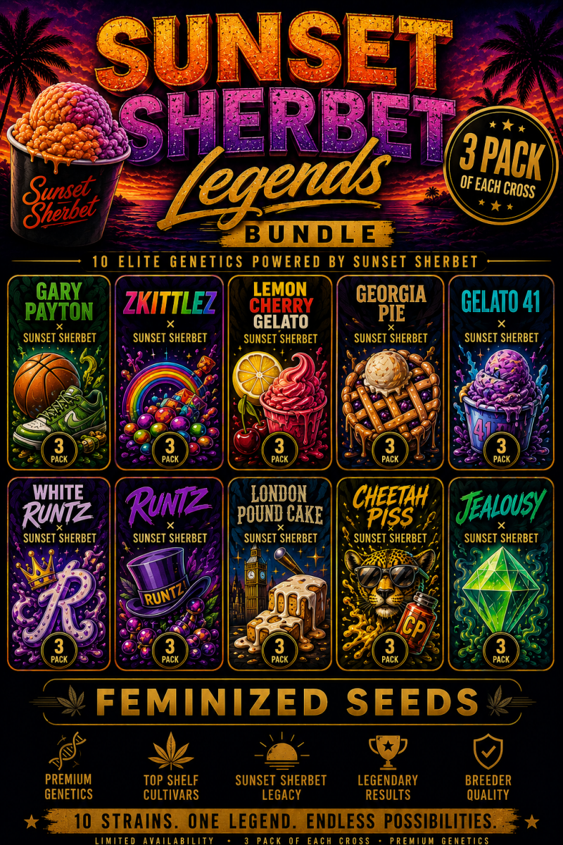 Sunset Sherbet Legends - 30 Feminized Seeds Bundle