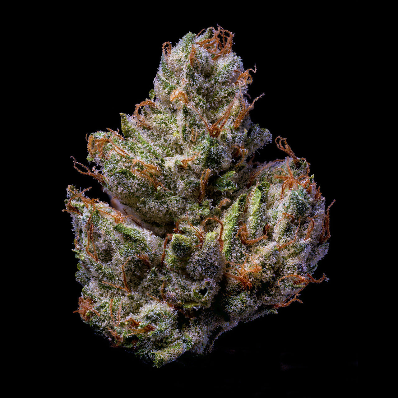 Triangle Kush Cake THCA Flower