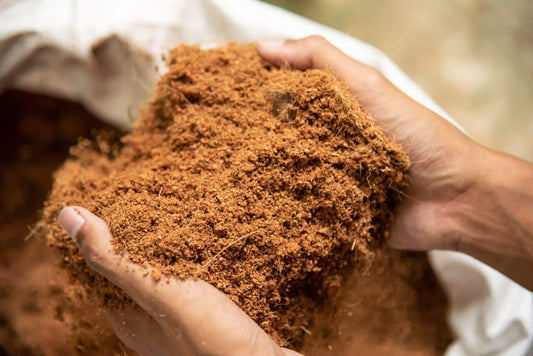 Best Coco Coir Nutrients For Cannabis - Premium Cultivars