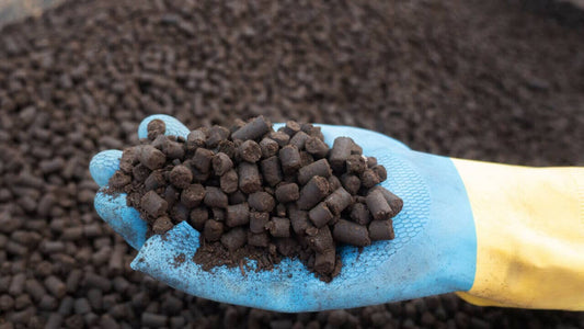 How to Make Homemade Fertilizer for Cannabis - Premium Cultivars