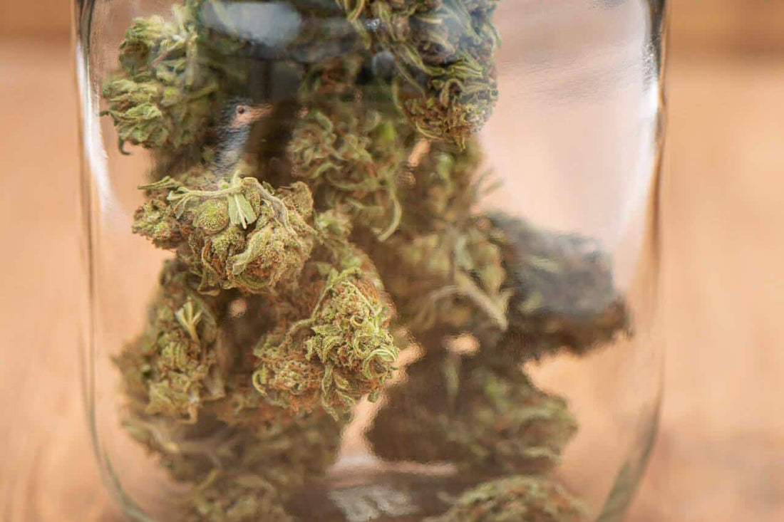 How To Store Cannabis - Premium Cultivars