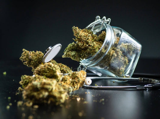 Water Curing Cannabis - Premium Cultivars