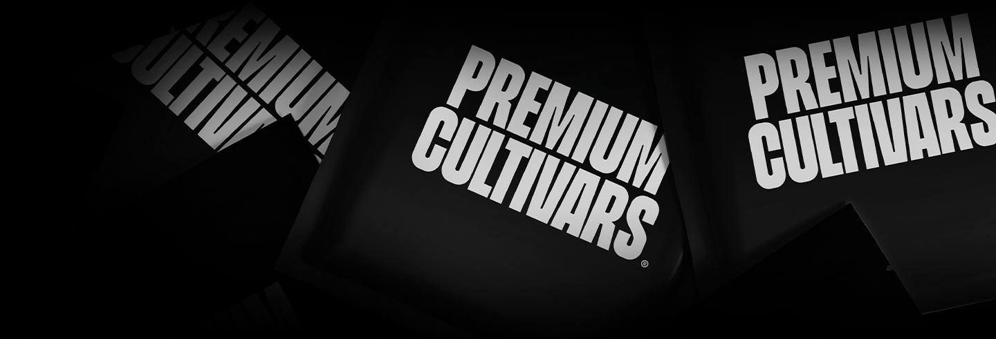 Gas For Less - OZ SALE - Premium Cultivars