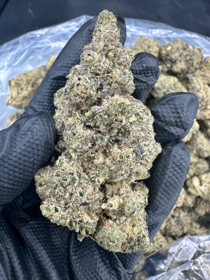 Forum Cookie THCA Flower BOGO