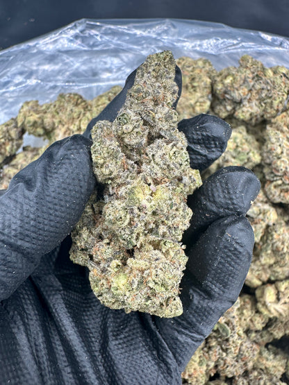 Forum Cookie THCA Flower BOGO