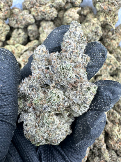Animal Cookies THCA Flower