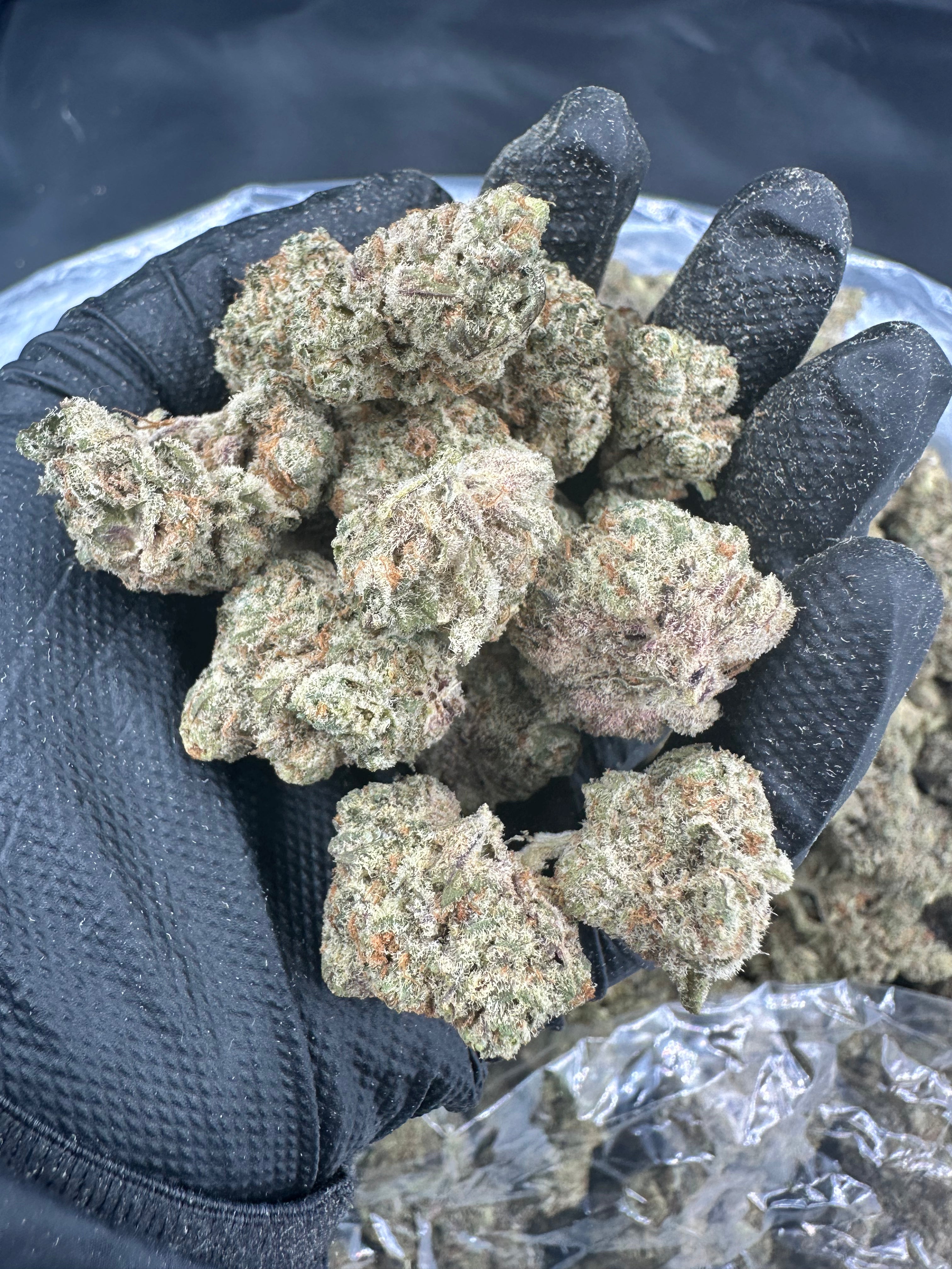 Biscotti Thca Flower