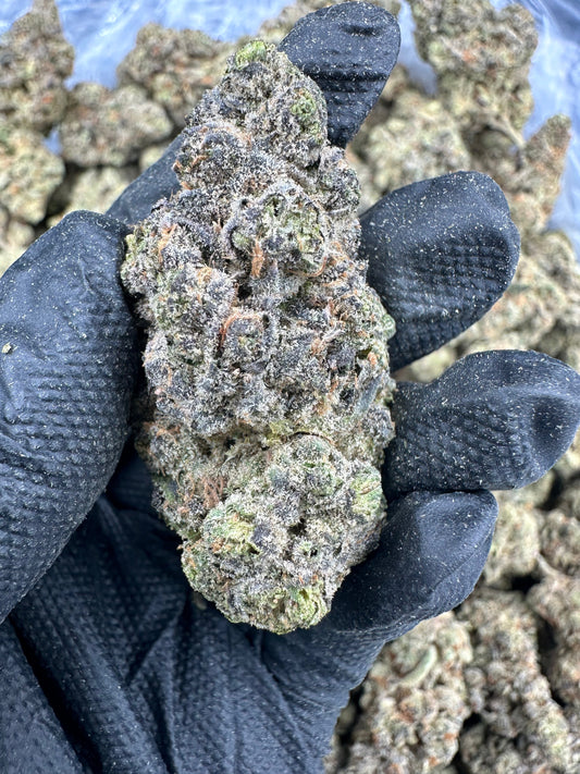 🎁 Blue Dream THCA Flower (100% off)