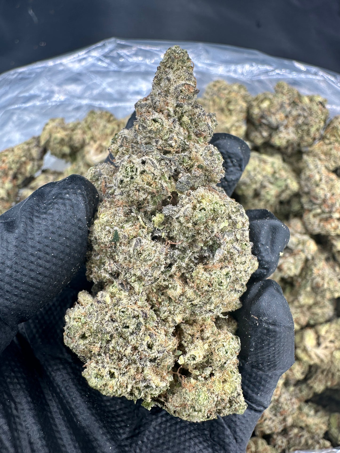 Bubba Kush THCA Flower