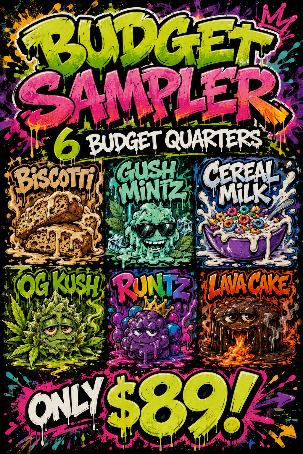 Budget Sampler - 6 Budget Quarters