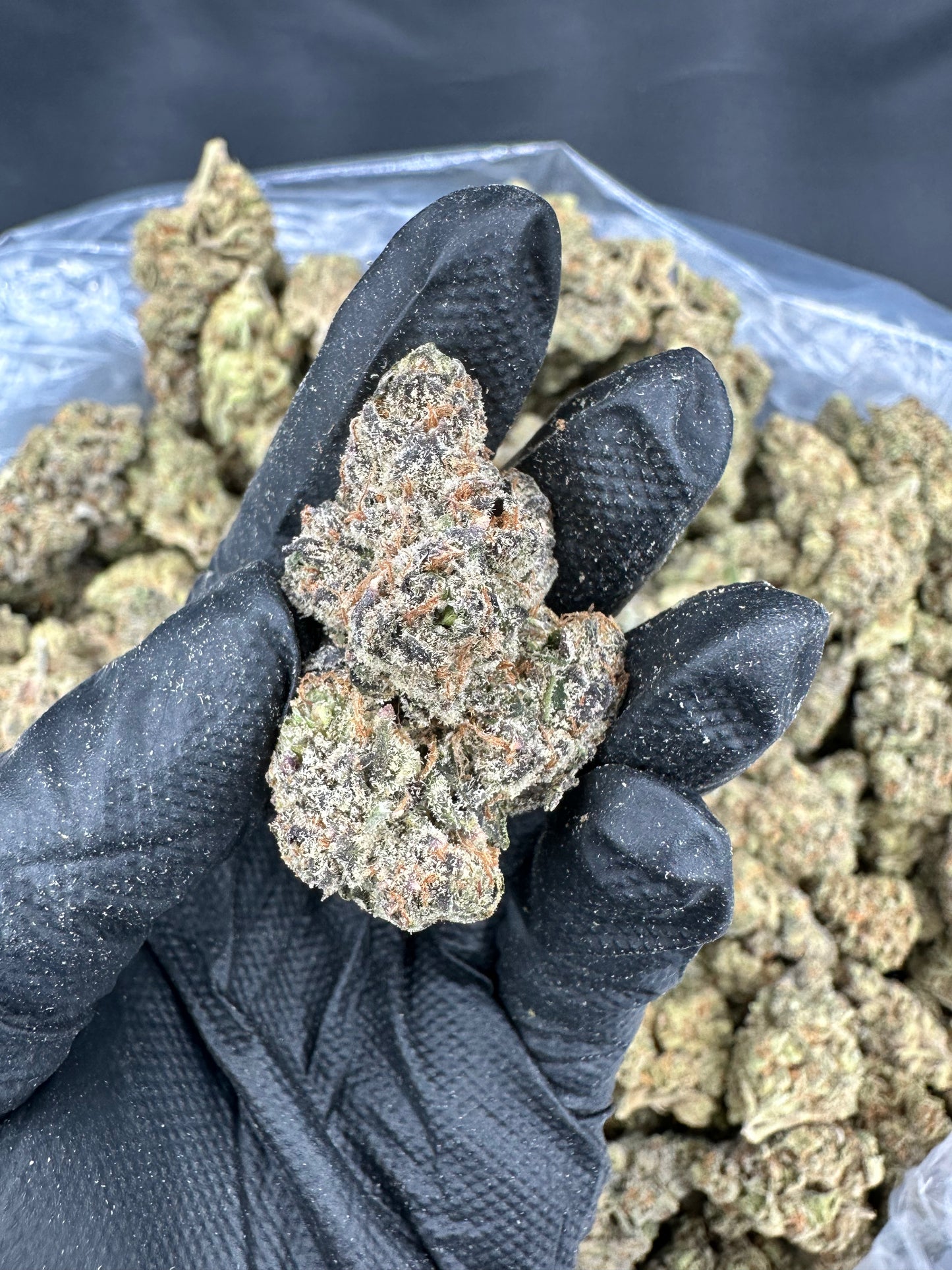 Cheetah Piss THCA Flower