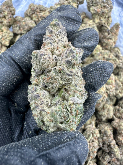 Cookie Chip THCA Flower