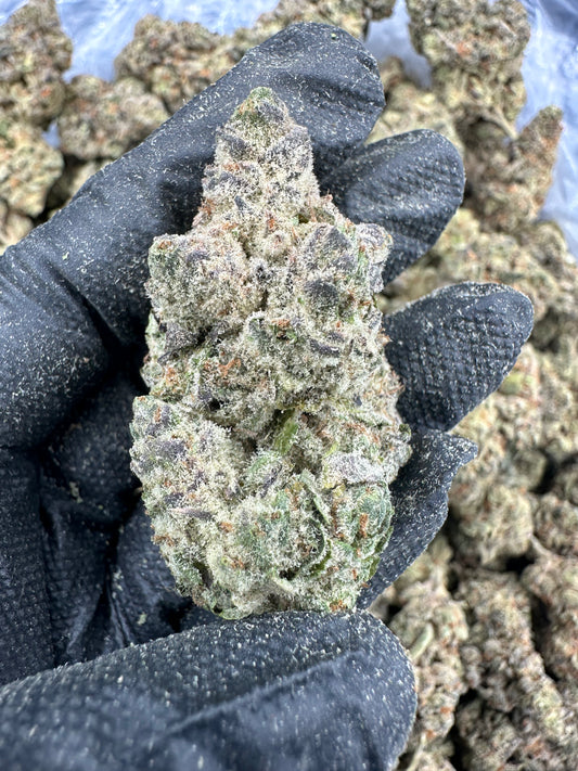 Cookie Chip THCA Flower