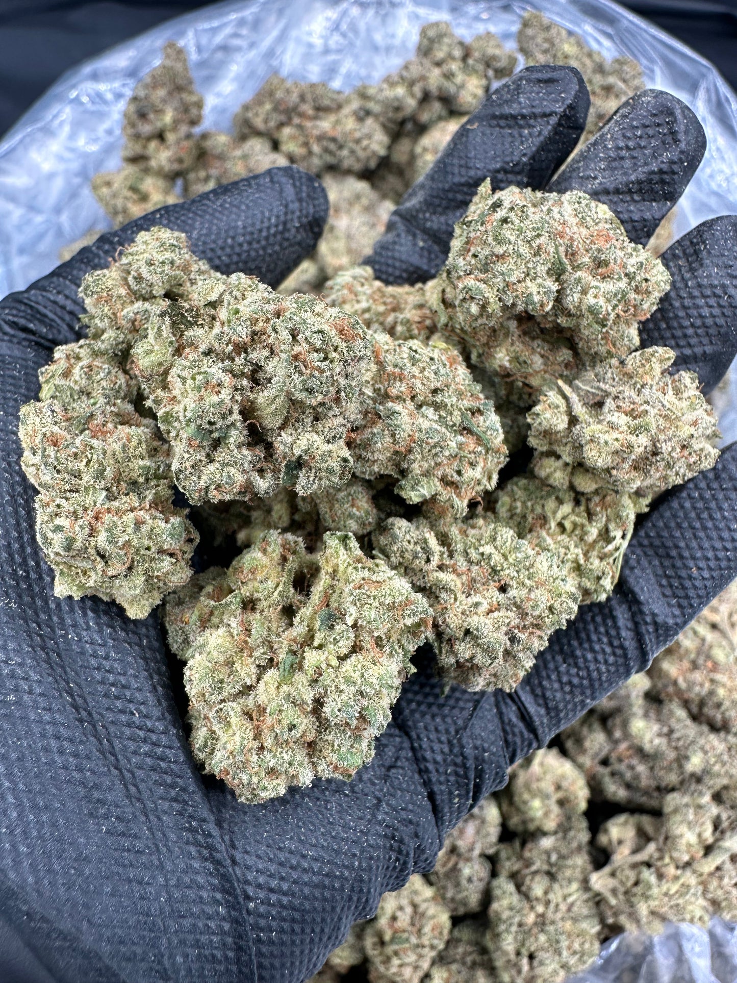 🎁 Durban Poison THCA Flower (100% off)