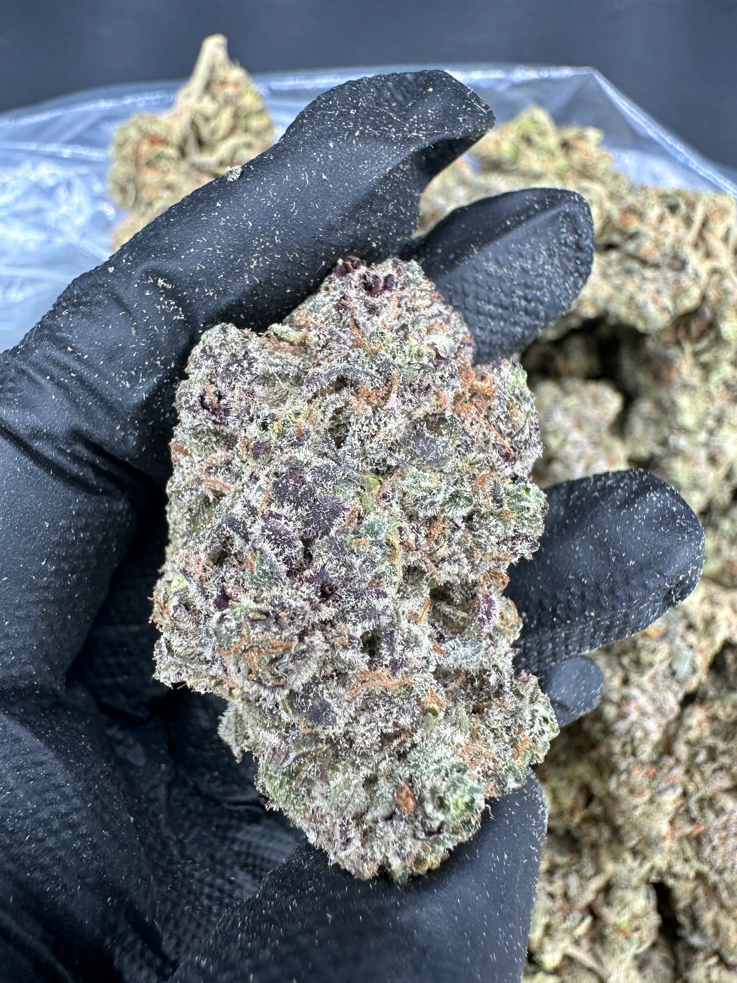 🎁 GMO Cookies THCA Flower (100% off)