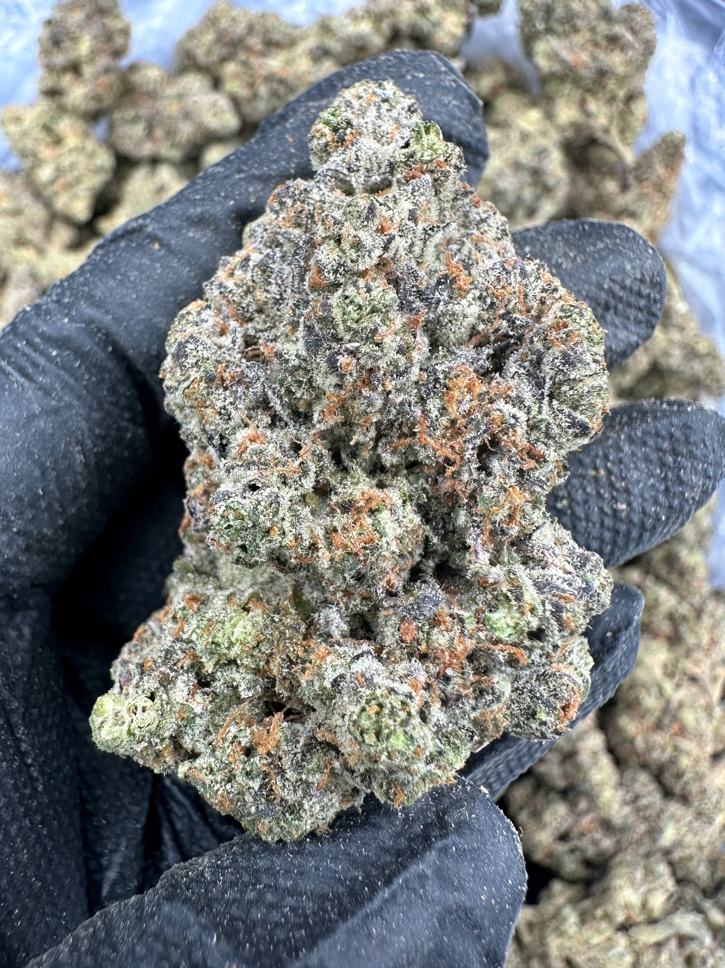 Georgia Pie THCA Flower