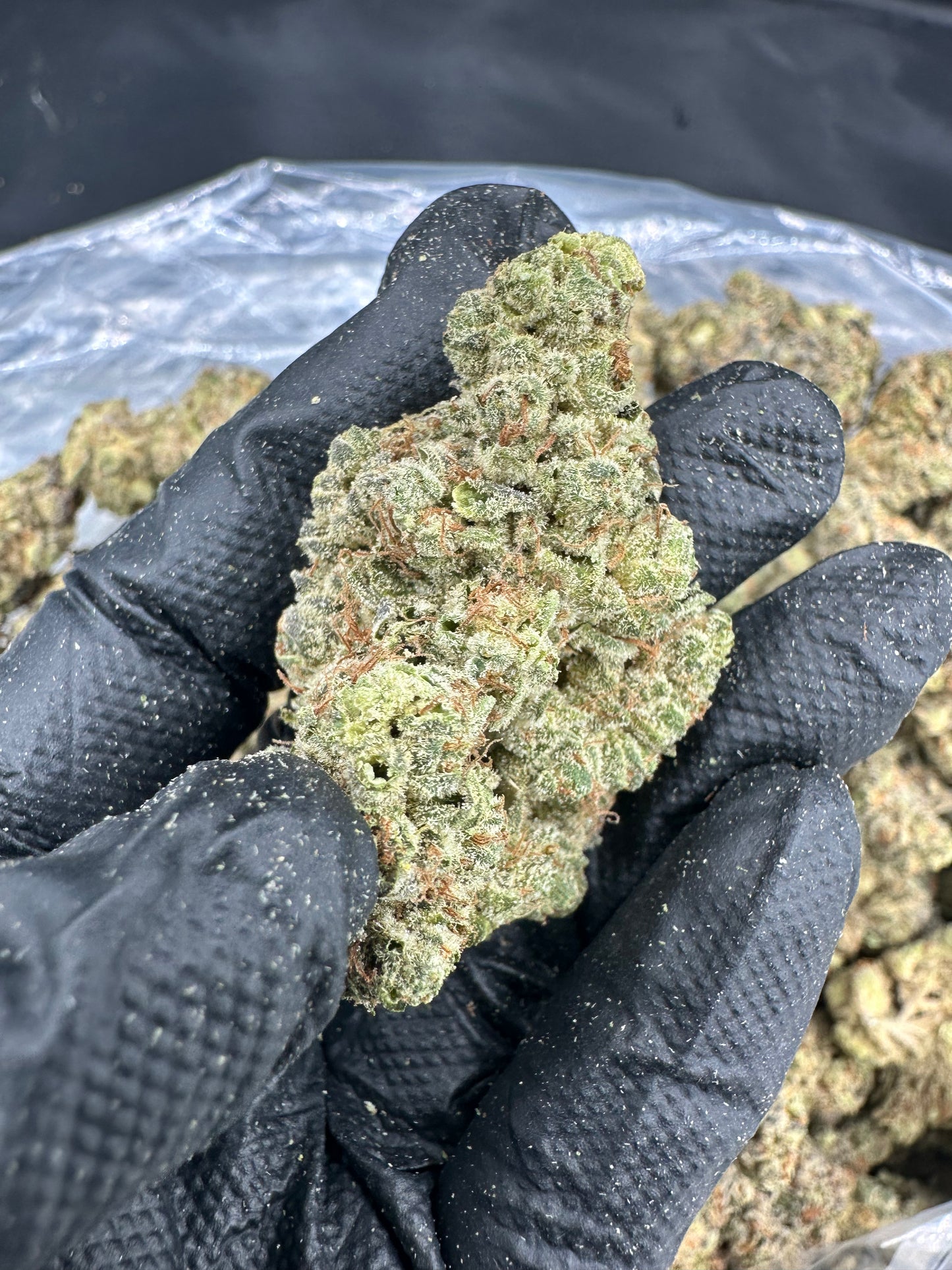 Gorilla Glue #4 THCA Flower