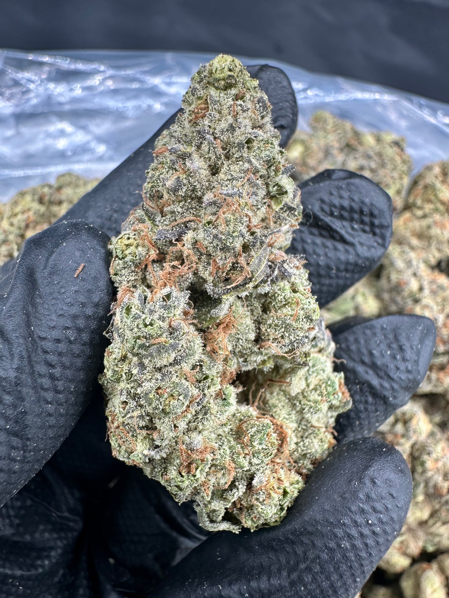 Gorilla Glue #4 THCA Flower
