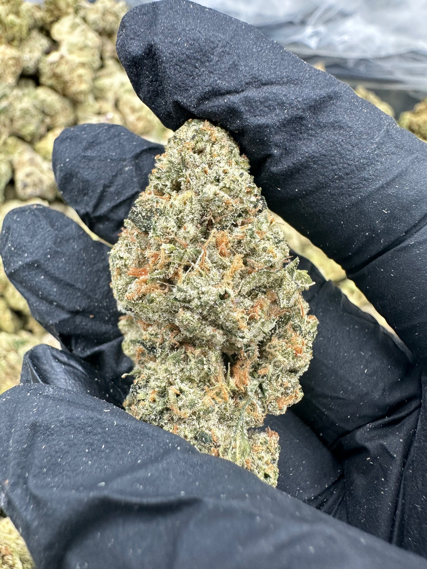 Bruce Banner THCA Flower (Premium)