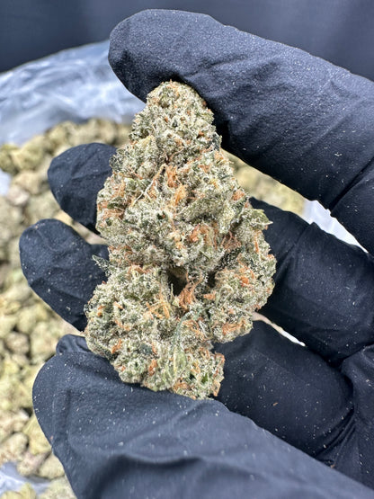 Bruce Banner THCA Flower (Premium)