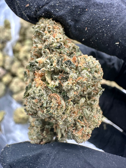 Bruce Banner THCA Flower (Premium)