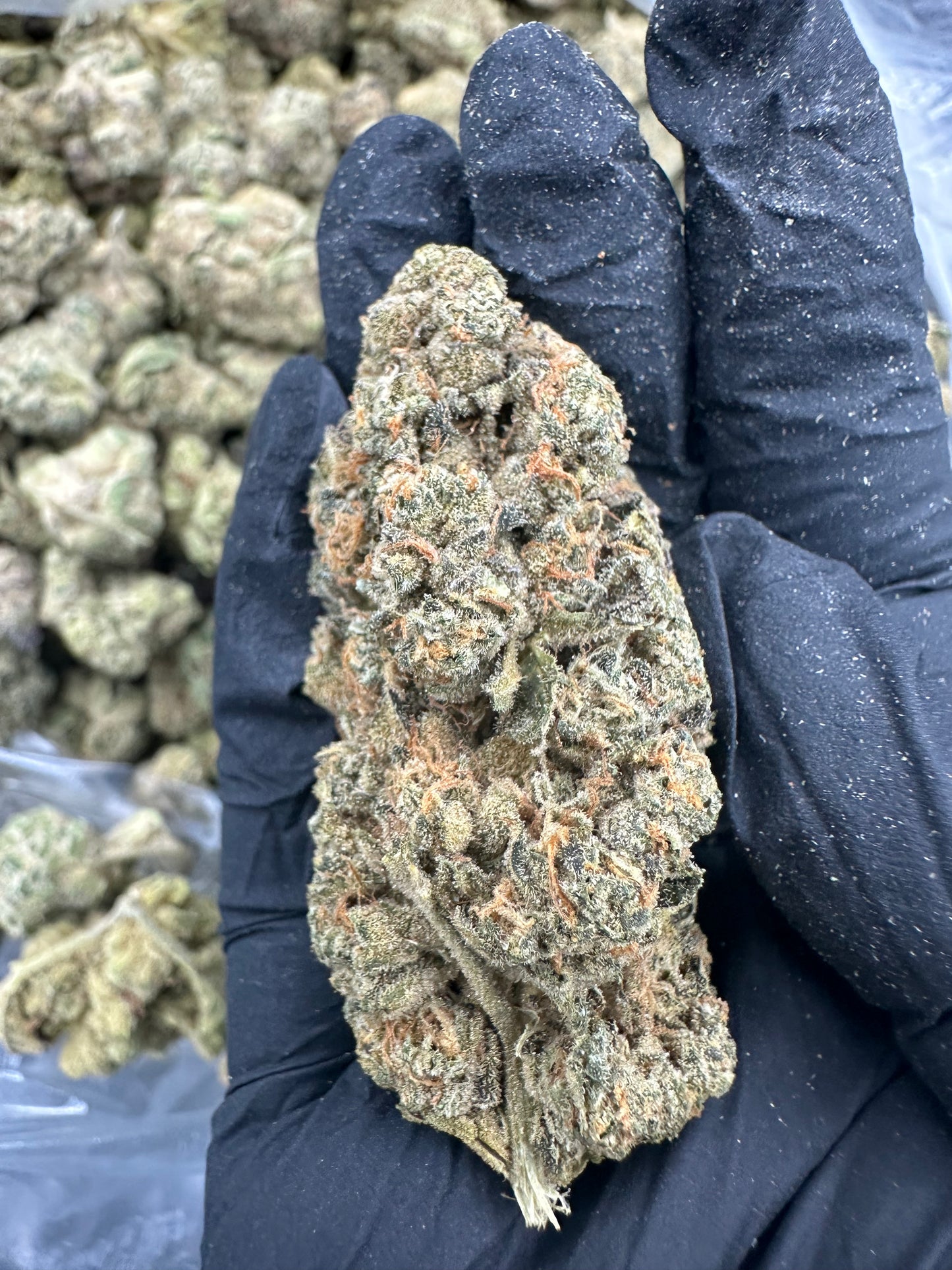 Ice Cream Cake THCA Flower (Budget)