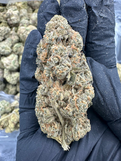 Ice Cream Cake THCA Flower (Budget)